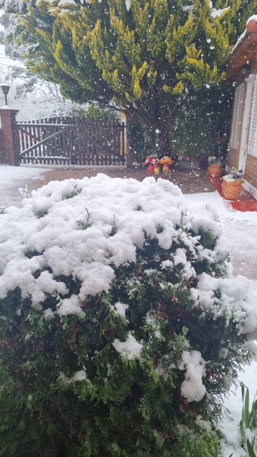 Nieve en Potrero de los Funes